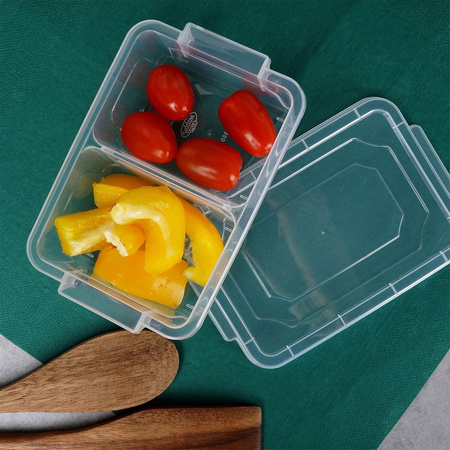 Pojemnik na żywność MULTIBOX 500ml